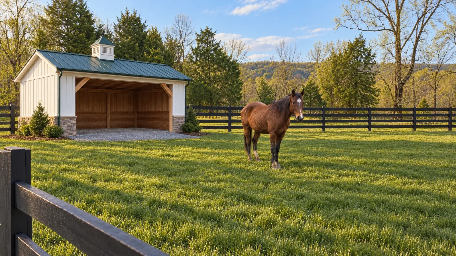 After: a paddock with green grass, new fence and a handsome run-in barn