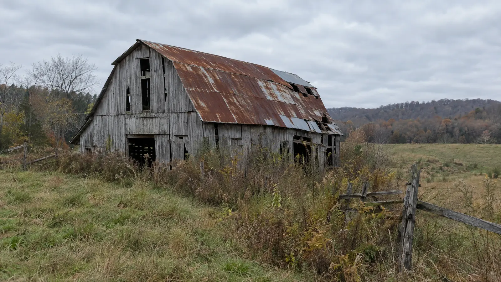 Before: an old barn with a leaning roof, missing boards and weeds