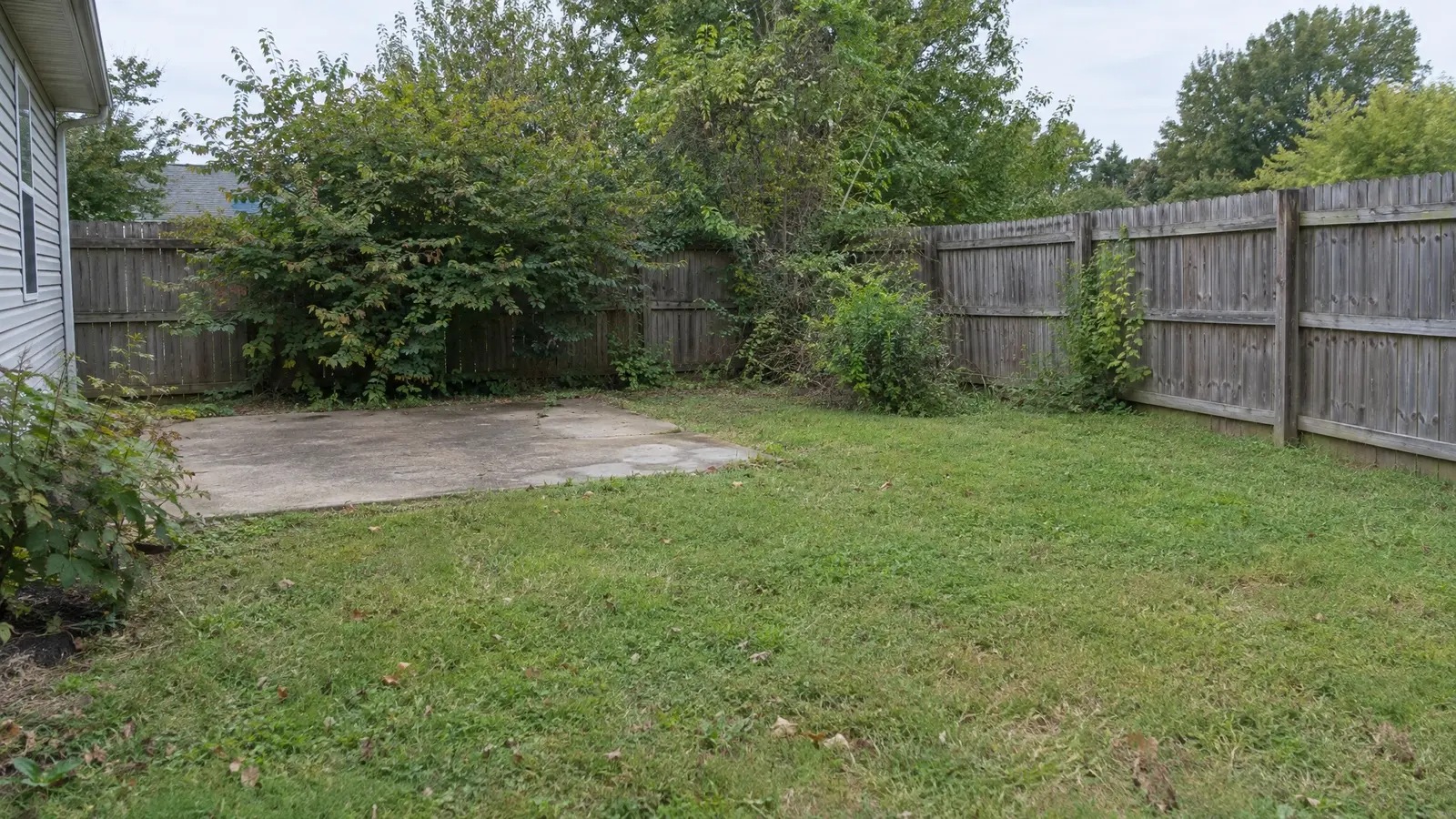 Before: the back corner of a yard with an empty lawn and a fence